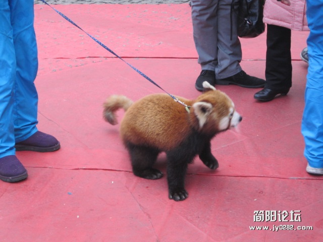 照片 143.jpg