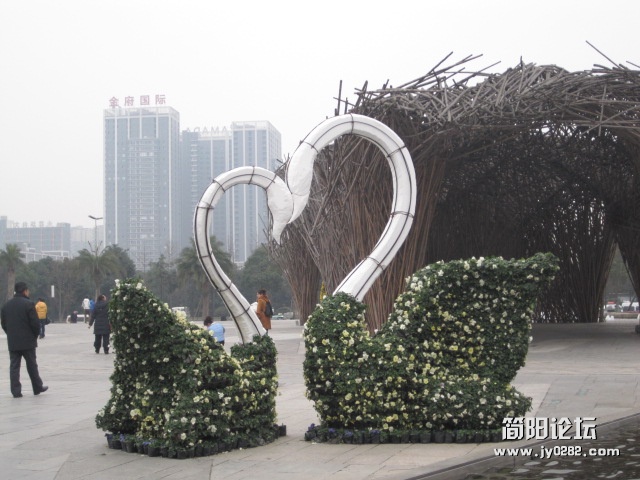 照片 161.jpg