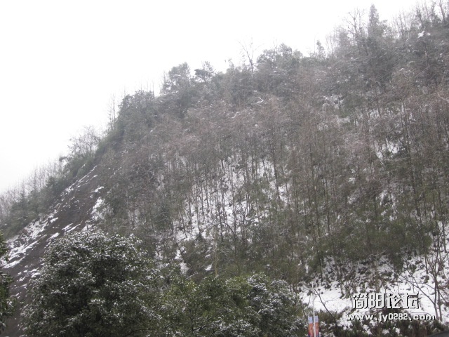 照片 176.jpg