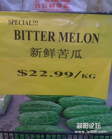 苦瓜.jpg