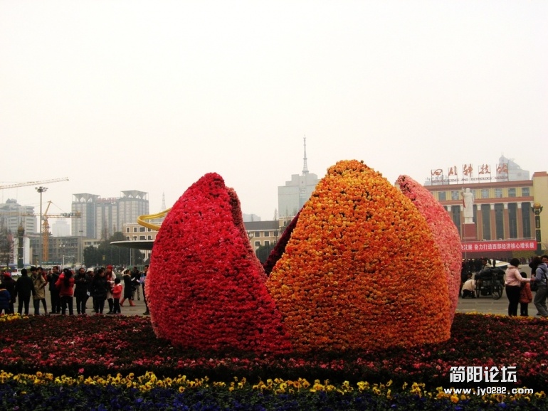 IMG_7725.jpg