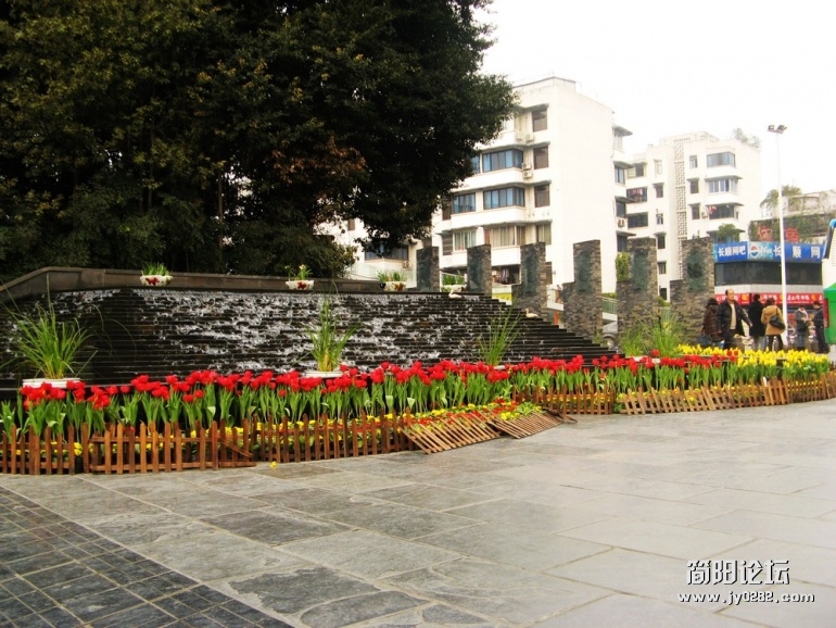 IMG_7735.jpg