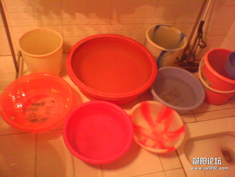 IMG1570A.jpg