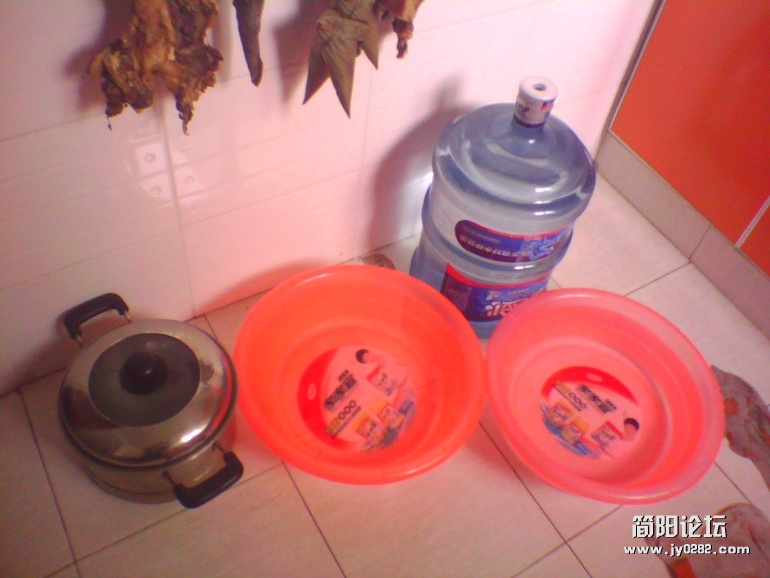 IMG1571A.jpg