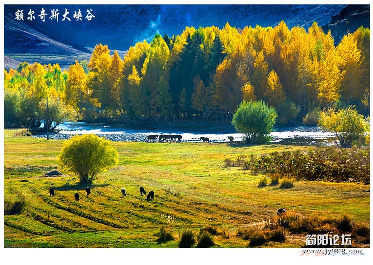 新疆行十二——额尔奇斯大峡谷（一）01副本.jpg