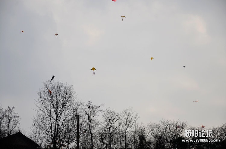DSC_0884.jpg