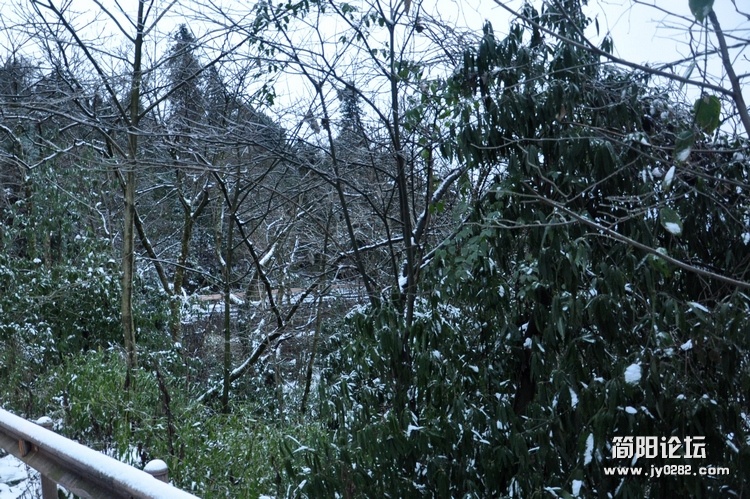 DSC_0172.jpg