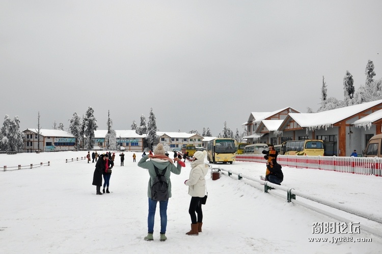 DSC_0176.jpg
