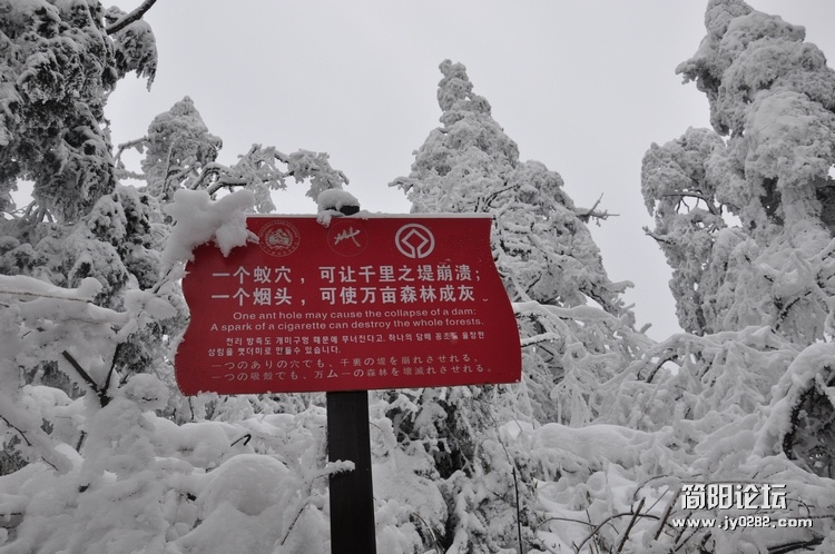 DSC_0219.jpg