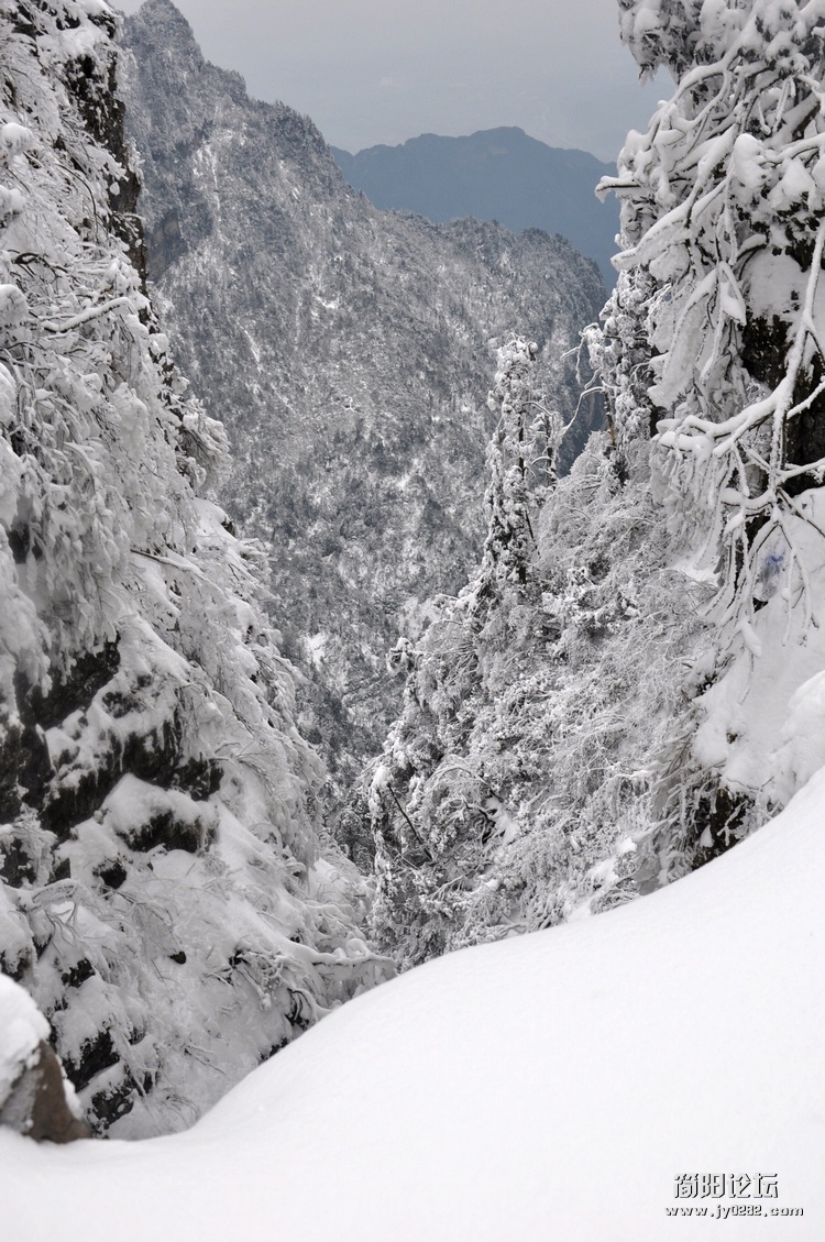 DSC_0226.jpg