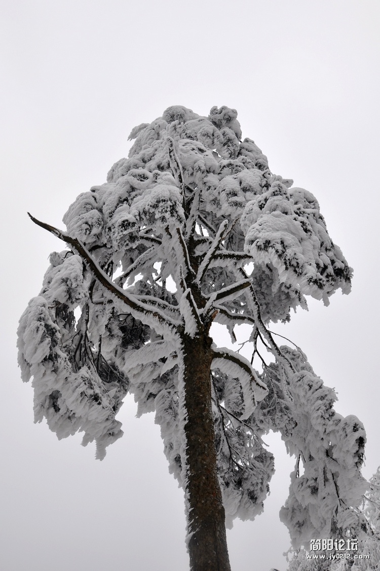DSC_0228.jpg