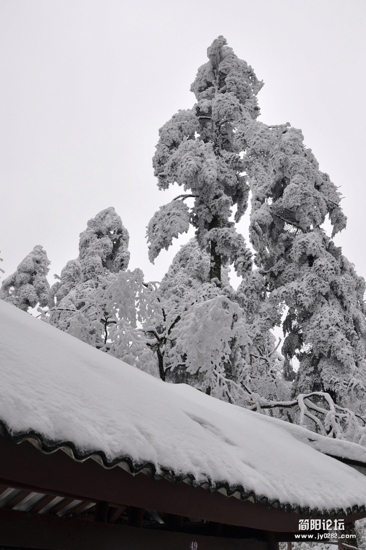 DSC_0234.jpg