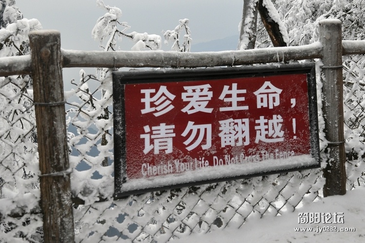 DSC_0245.jpg