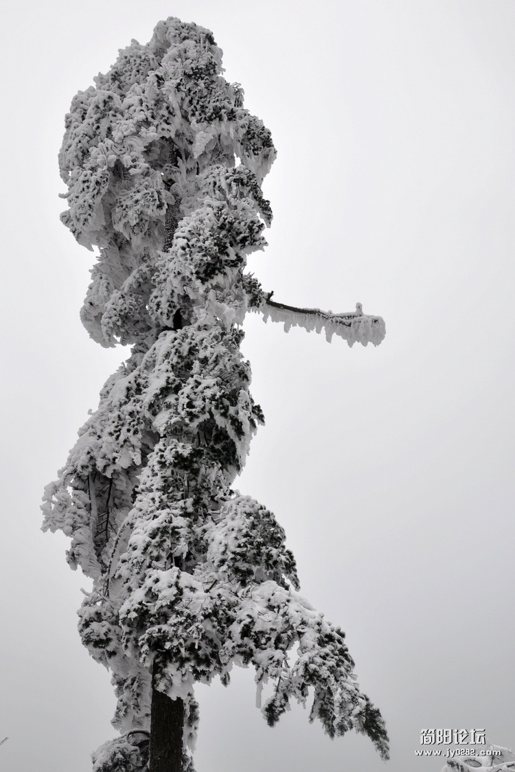 DSC_0251.jpg