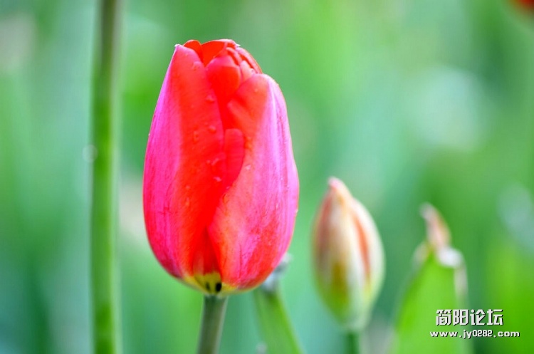 DSC_1607.jpg