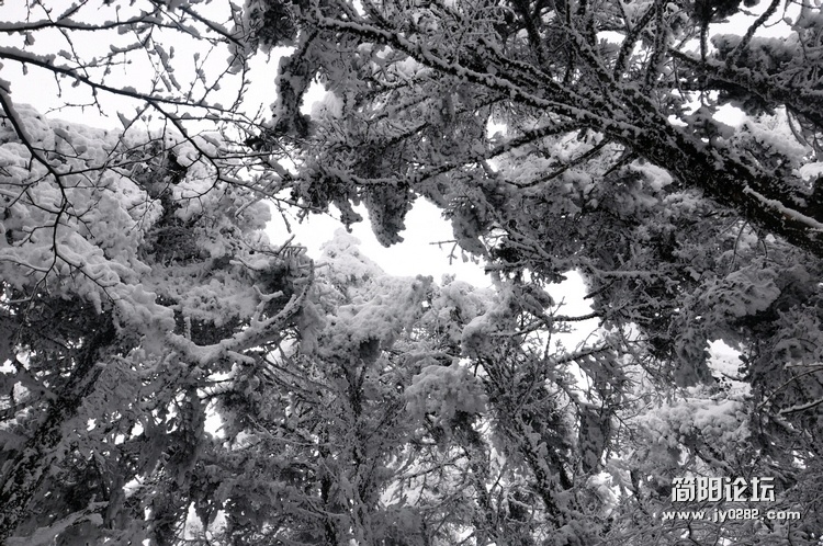 DSC_0308.jpg