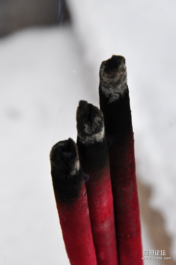 DSC_0379.jpg