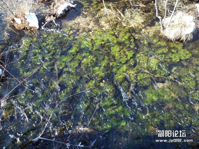 珍珠滩