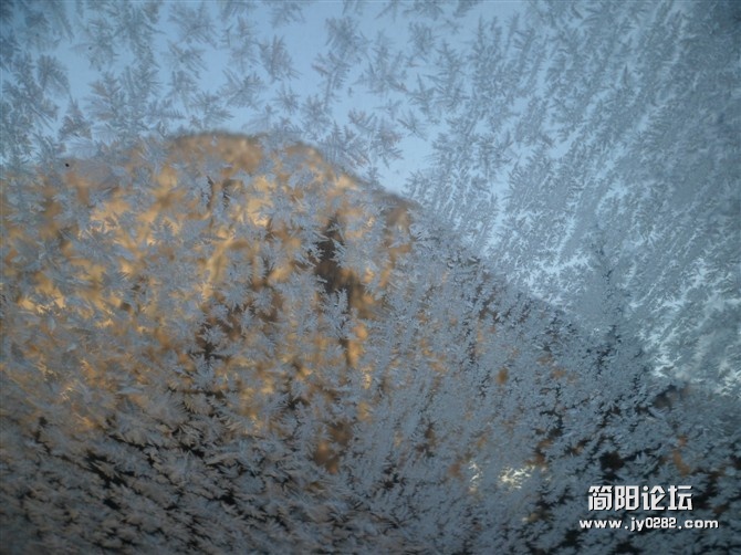 车窗上的霜花