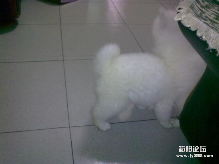 20120218291.jpg