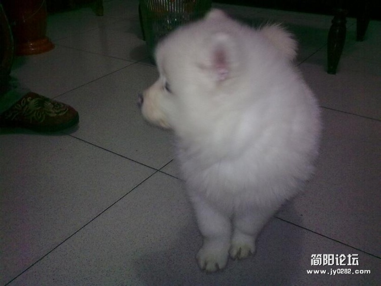 20120218293.jpg