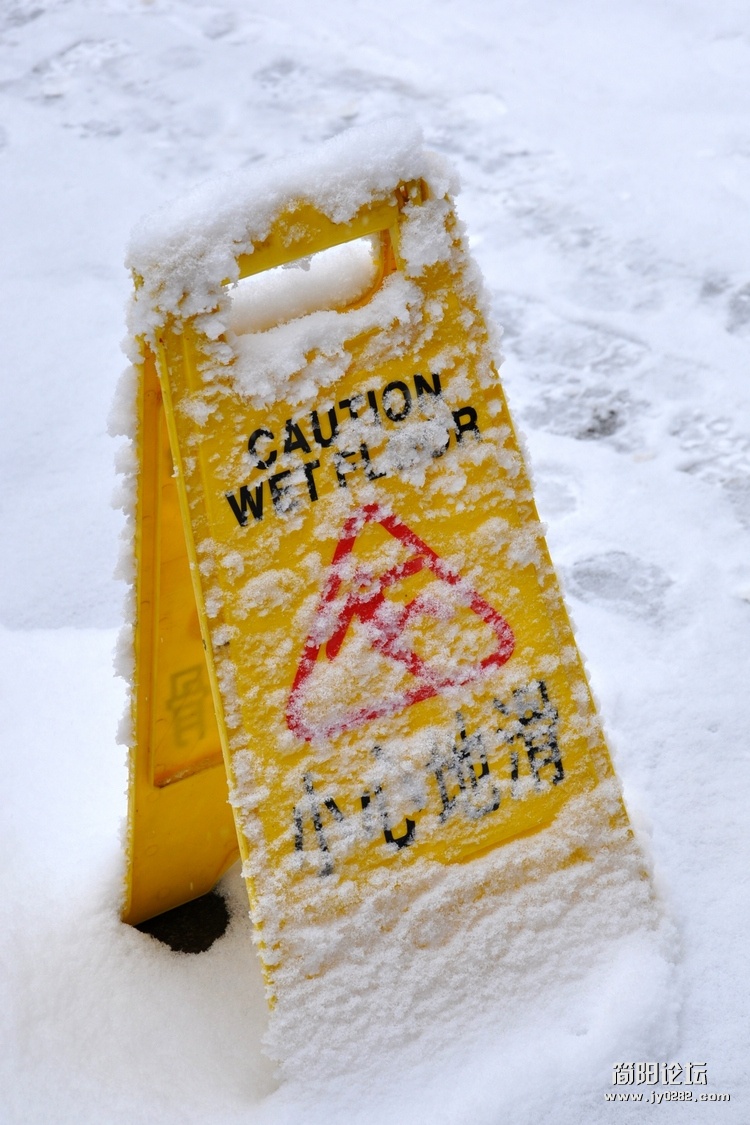 DSC_0387.jpg