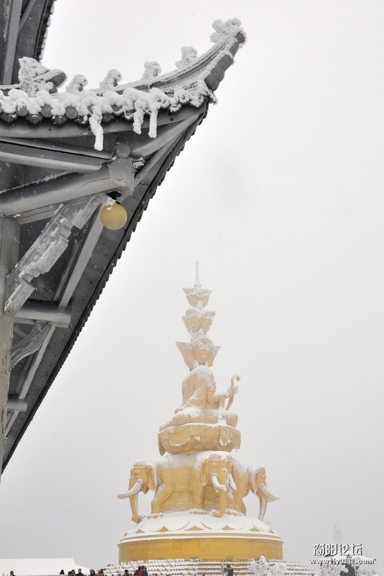 DSC_0396.jpg