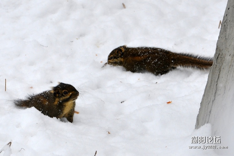 DSC_0402.jpg