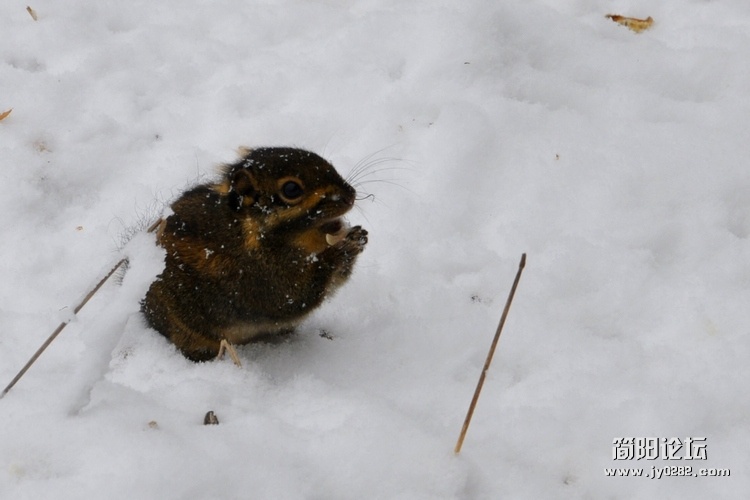 DSC_0403.jpg