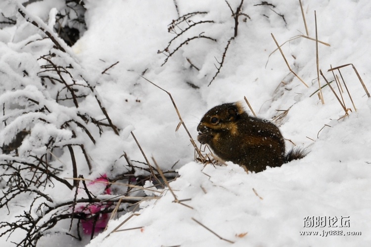 DSC_0405.jpg