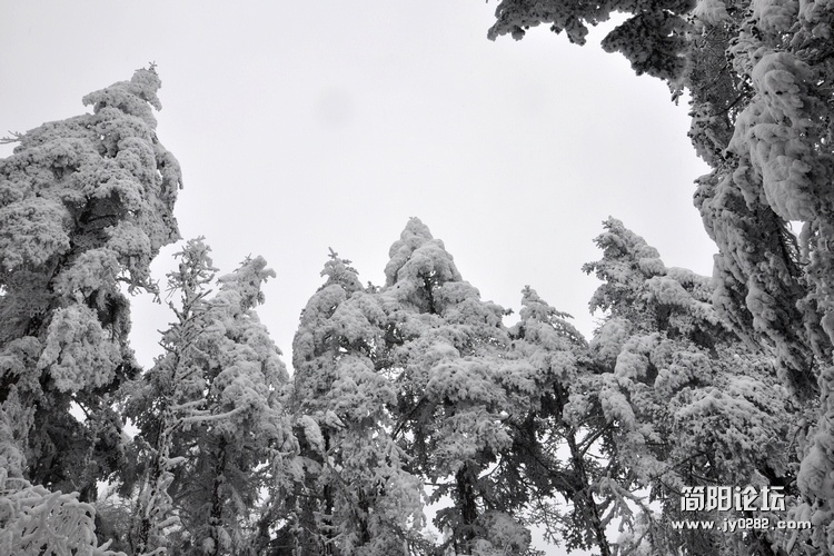 DSC_0521.jpg