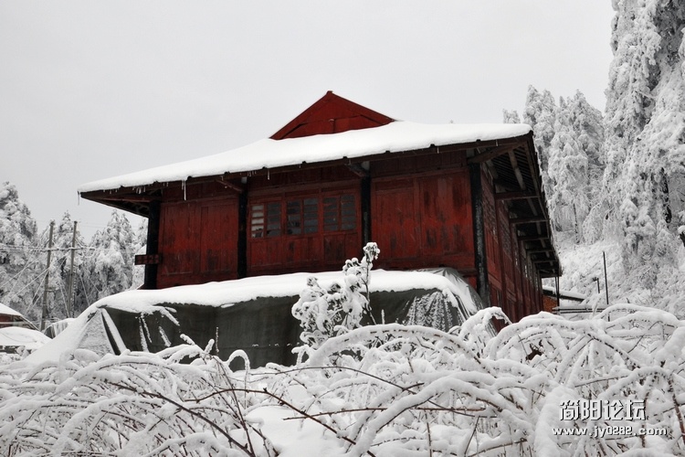 DSC_0553.jpg