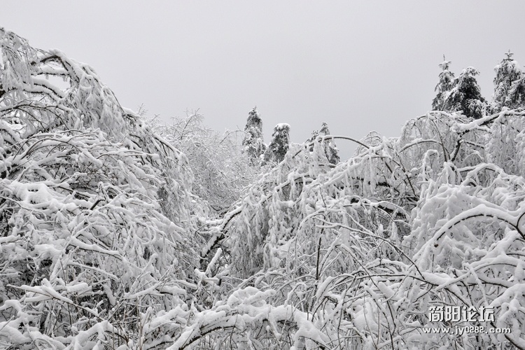 DSC_0561.jpg