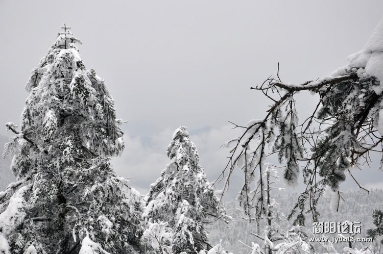 DSC_0562.jpg
