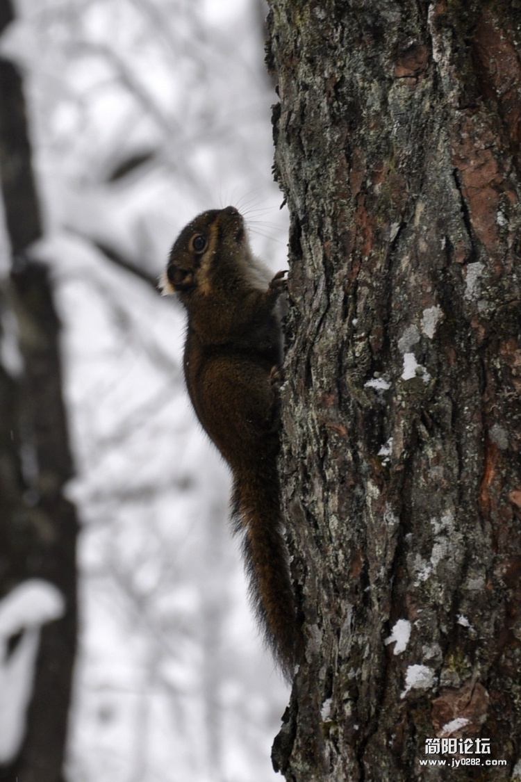 DSC_0573.jpg