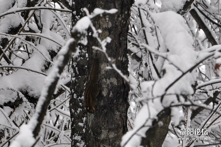 DSC_0574.jpg