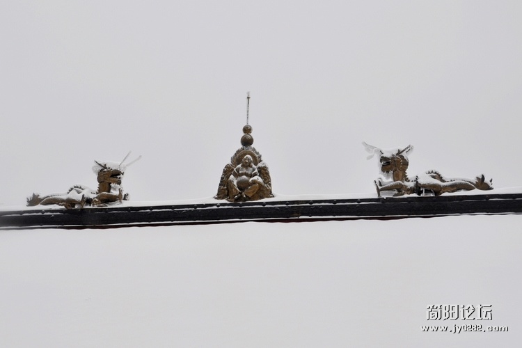 DSC_0623.jpg