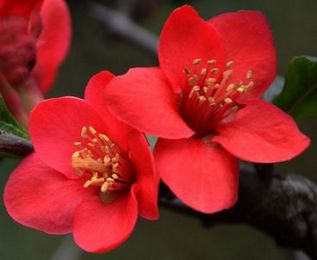 照片 098.jpg