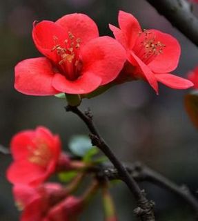 照片 087.jpg