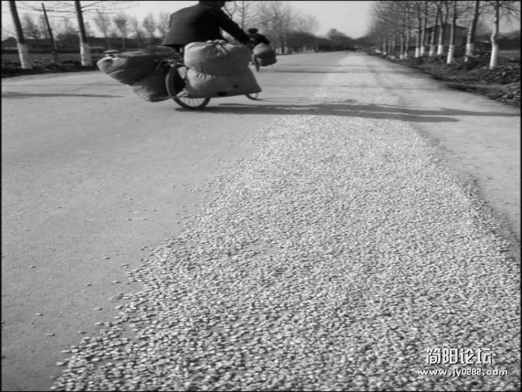46.jpg