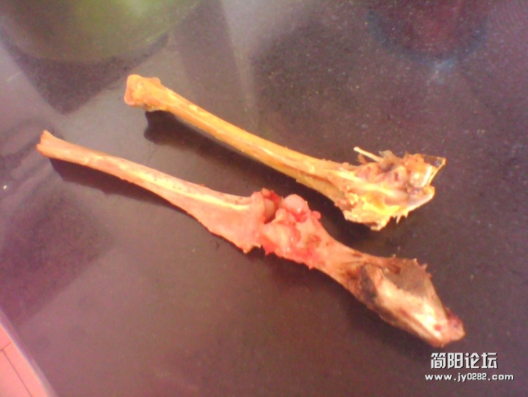 IMG1588A.jpg