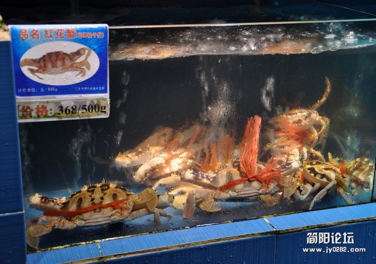 DSC_0034.jpg