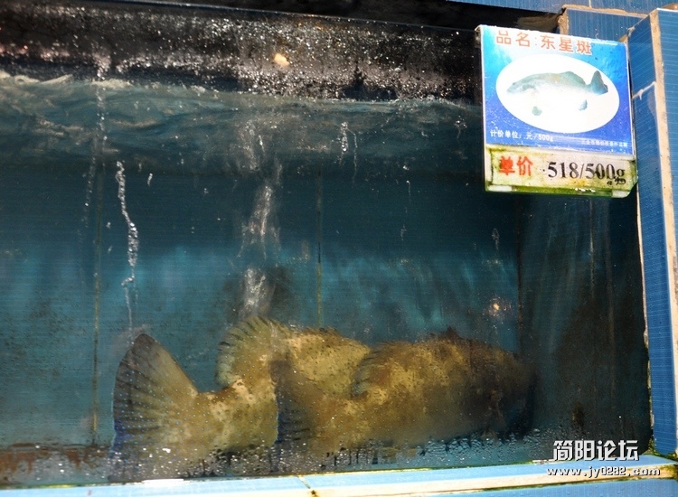 DSC_0035.jpg