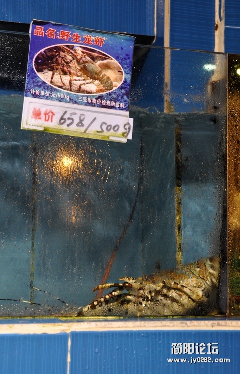 DSC_0041.jpg