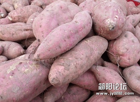 薯4.jpg