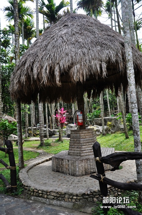 DSC_0202.jpg