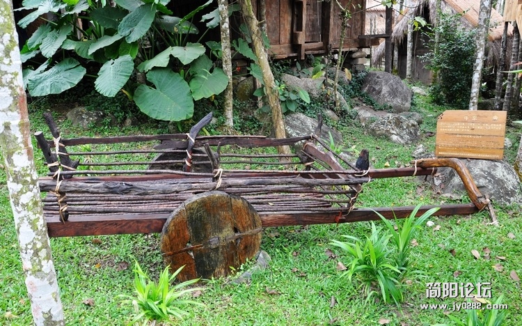 DSC_0204.jpg