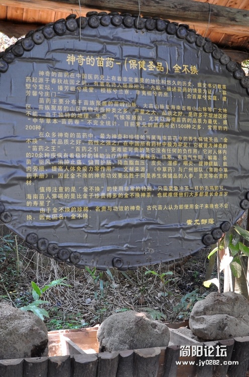 DSC_0247.jpg