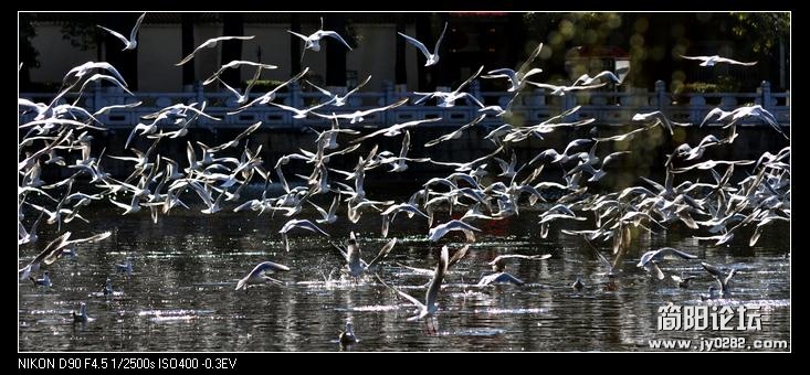 nEO_IMG_DSC_0052.jpg