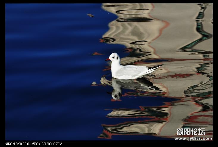 nEO_IMG_DSC_0446.jpg